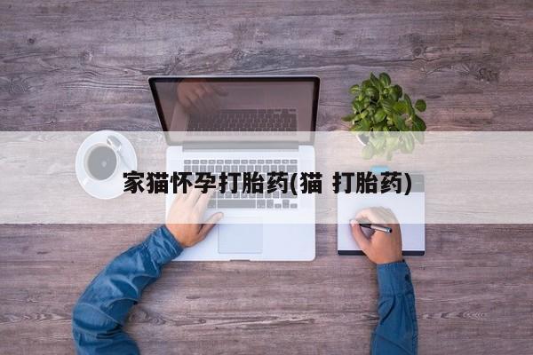 打胎药网上购买家猫怀孕打胎药(猫 打胎药)
